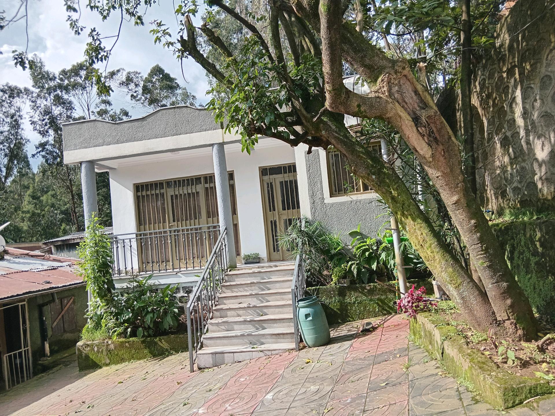 House Rent