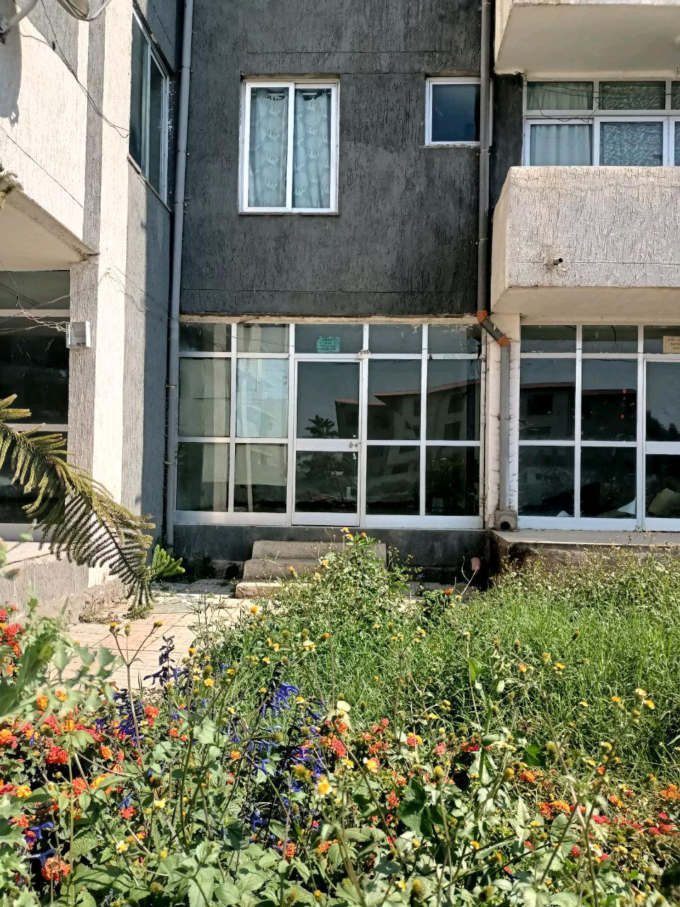 Property thumbnail 4