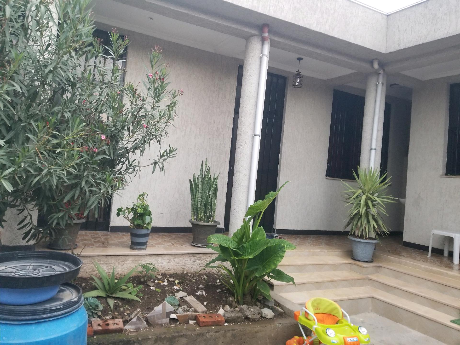 Selected property view