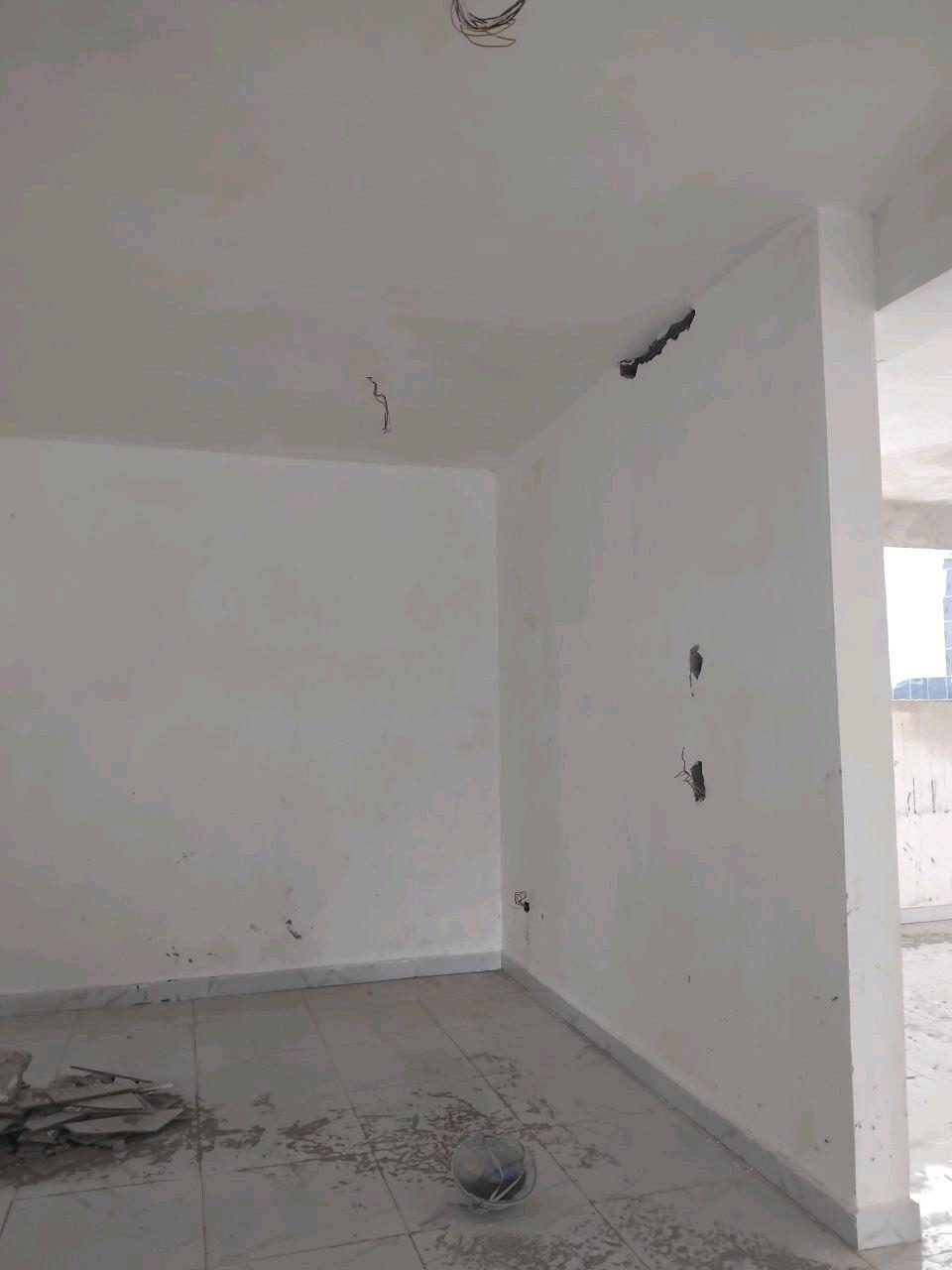ካዛንቺስ ባምቢስ ፊት ለፊት