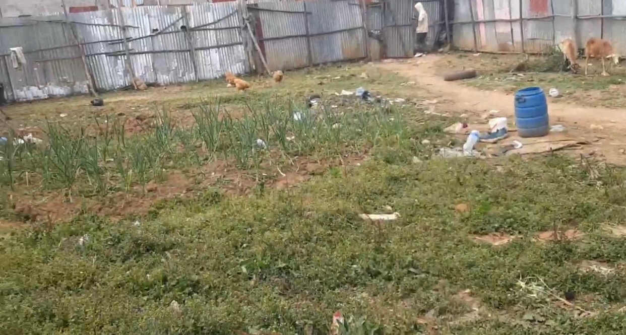 ለሽያጭ የቀረበ ባዶ ቦታ298 ካሬዲጂታል ካርታቦ