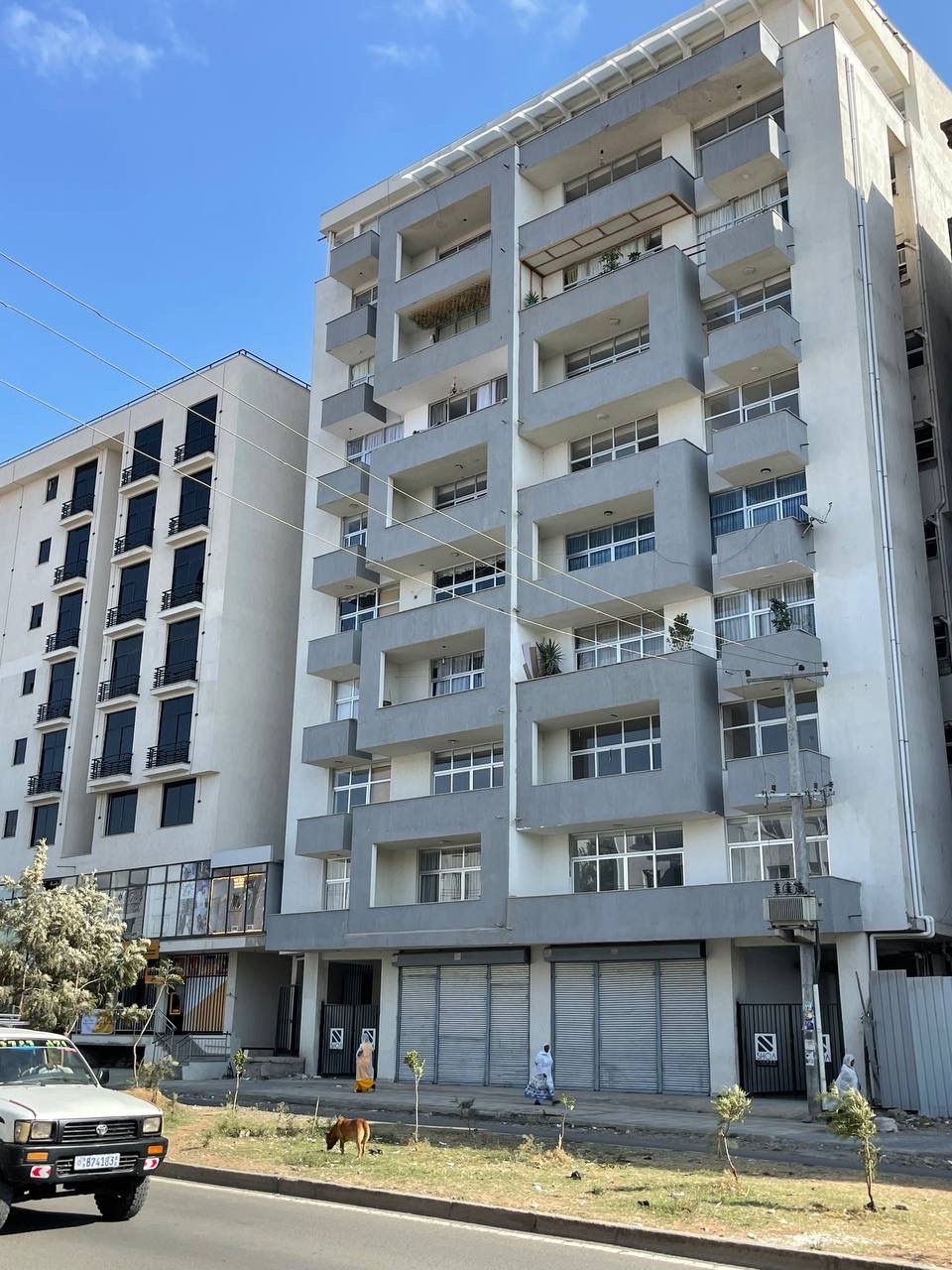 Selected property view