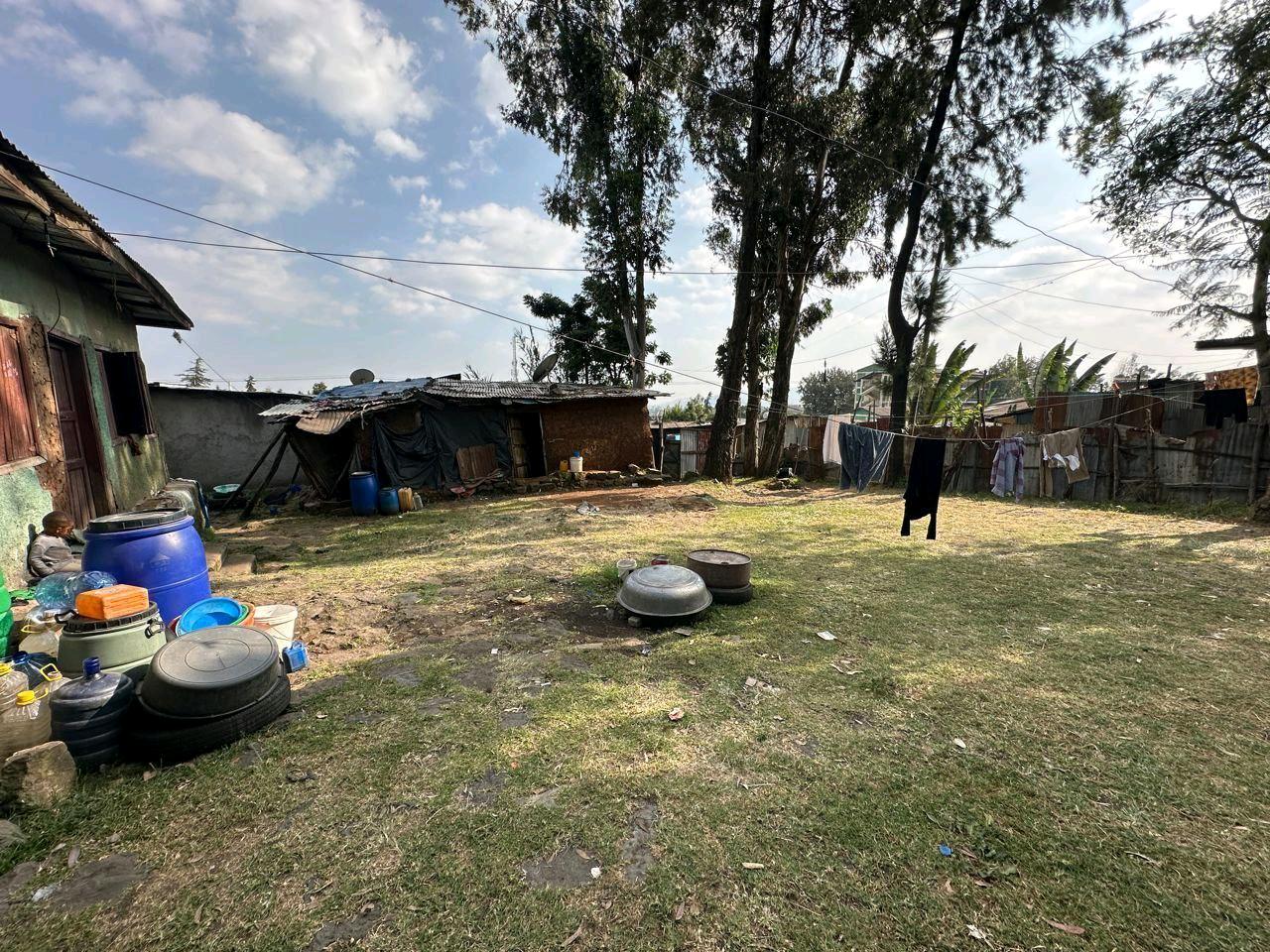 Selected property view