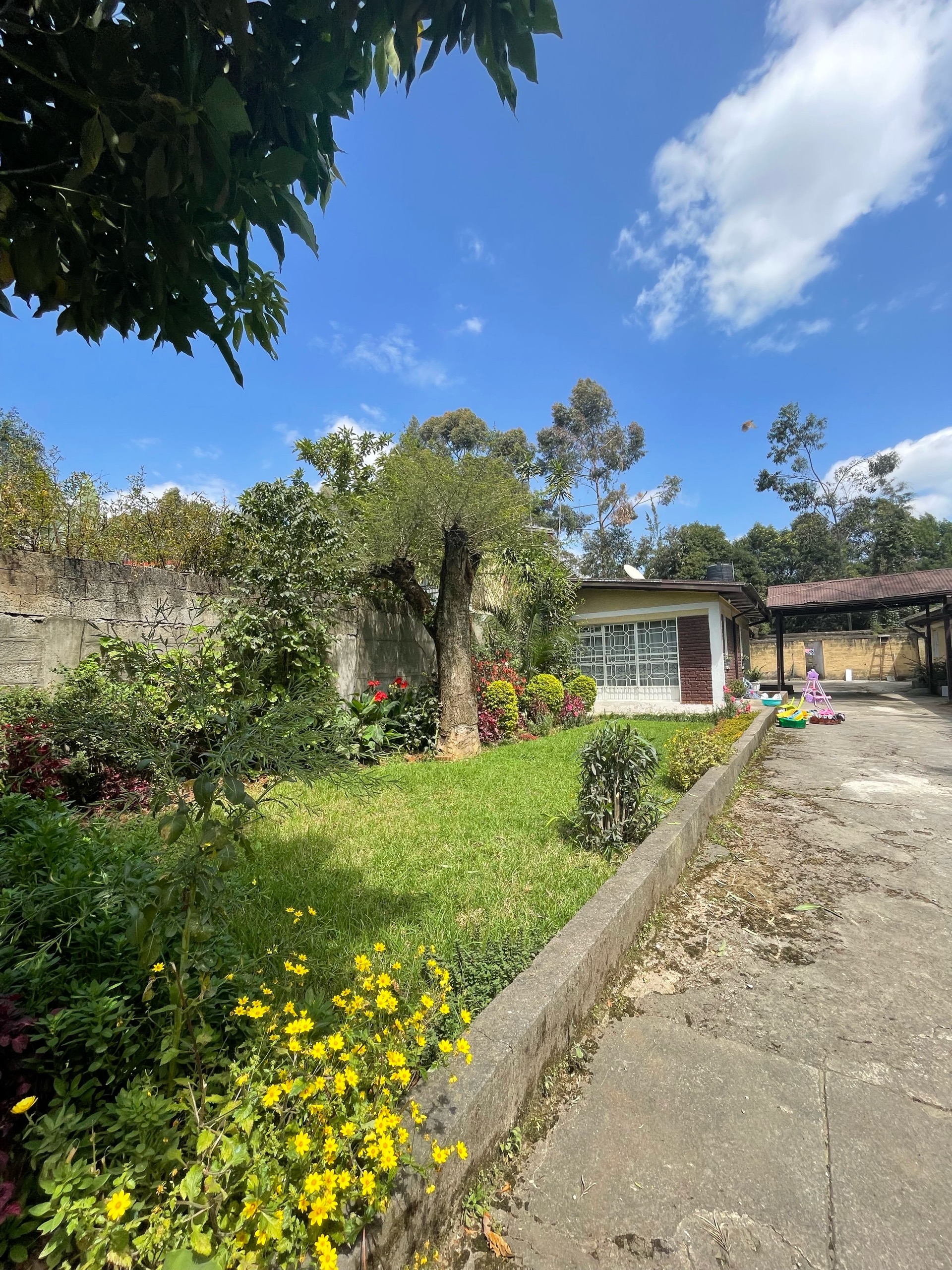 Selected property view