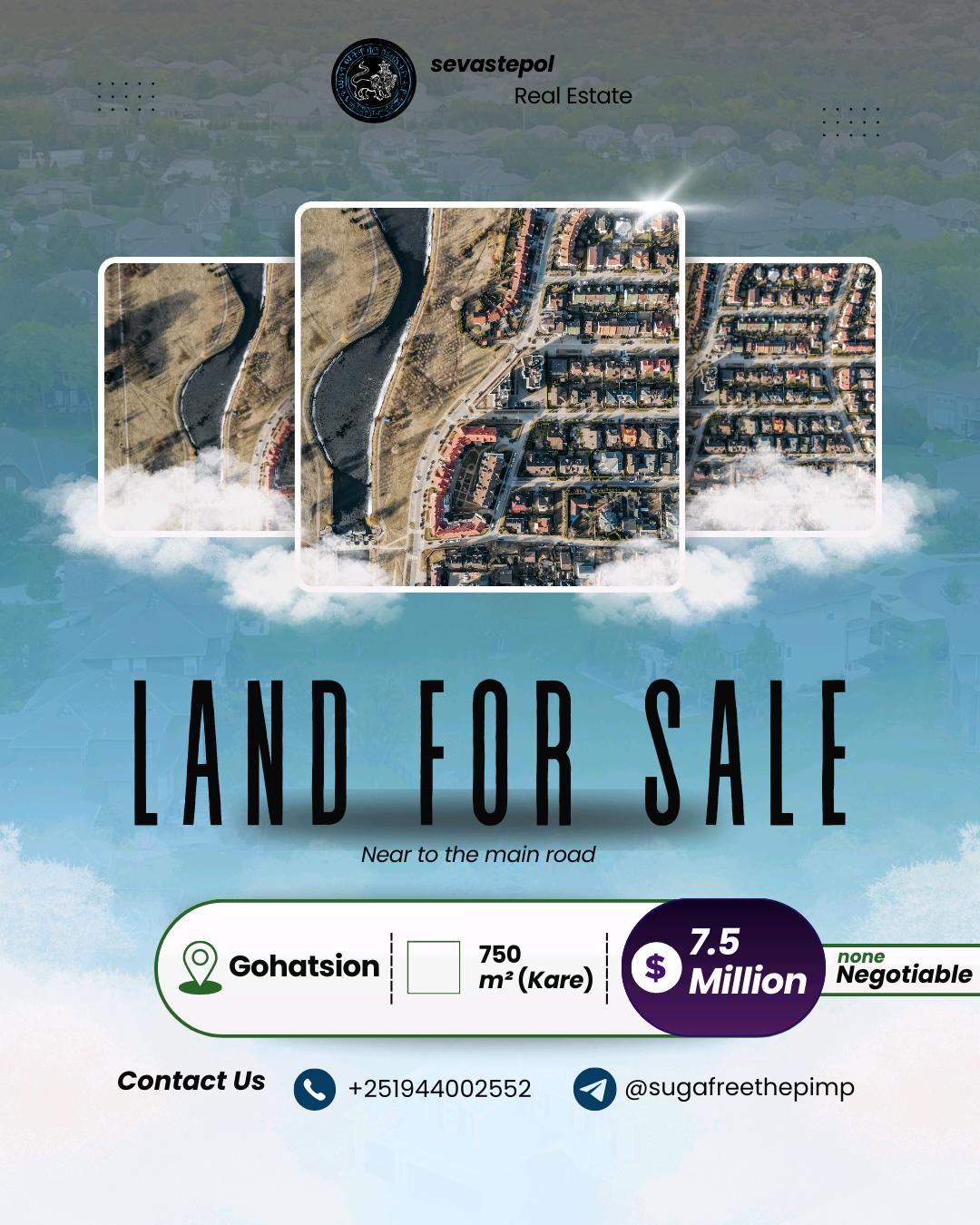 Selected property view