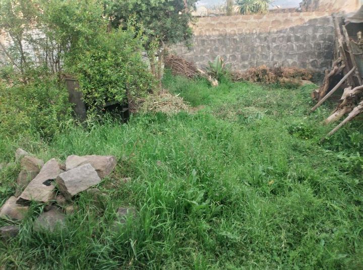 Land, Addis Ababa
